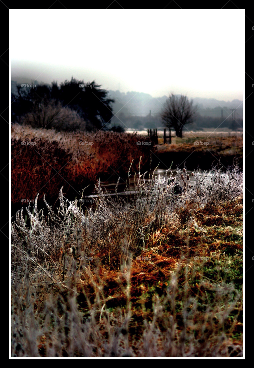 winter river frost mist by moggy9