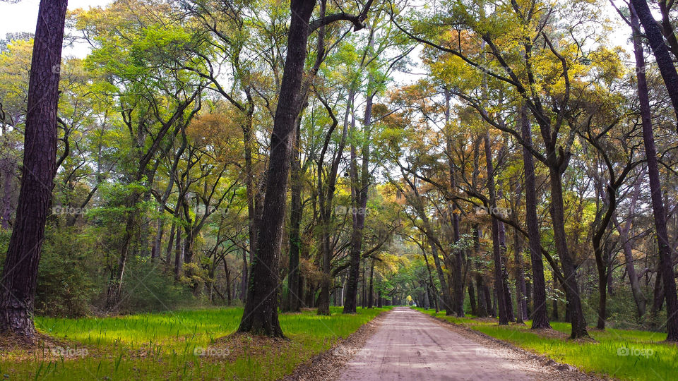 Road to Botany Bay. The road to Botany Bay beach.