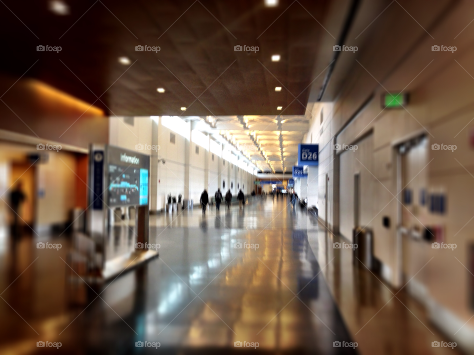 people sign airport lights by habitatweston