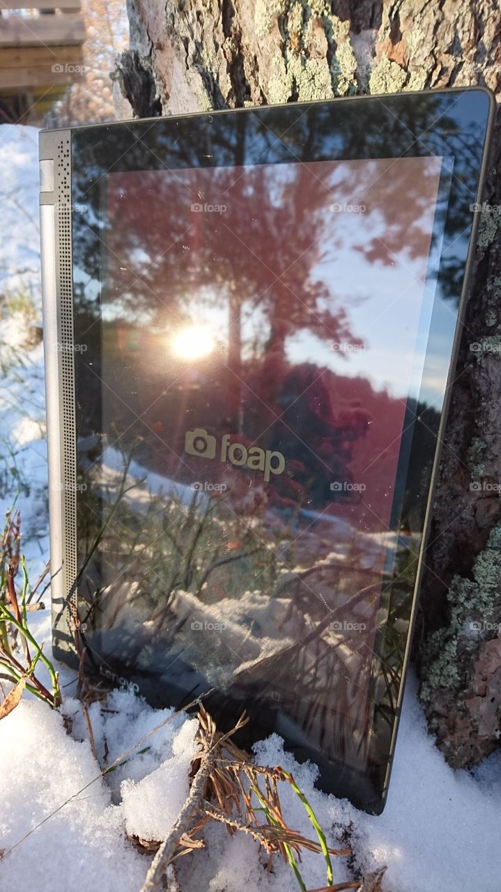 Out in our beautiful landscape, looking for the perfect motive.