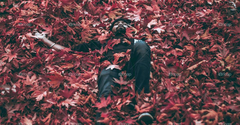 deitado nas folhas de autono