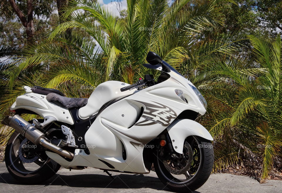 Suzuki Hyabusa out on a country ride