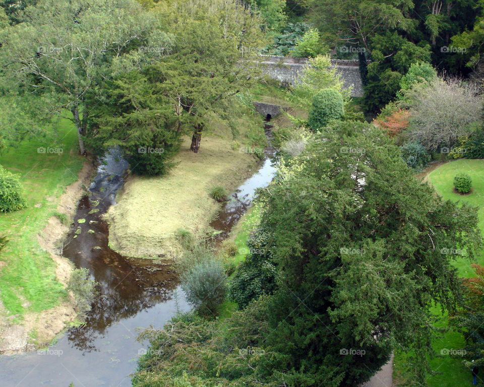 Creek at Blarney