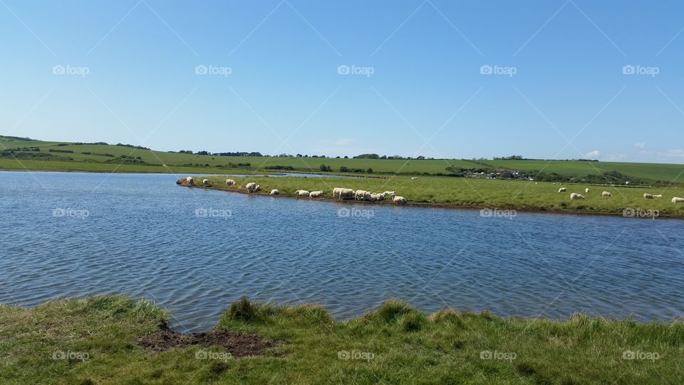 Landscape, Water, No Person, Lake, Grass