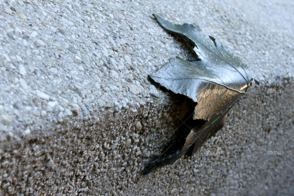 Metal Leave by hlehnerer