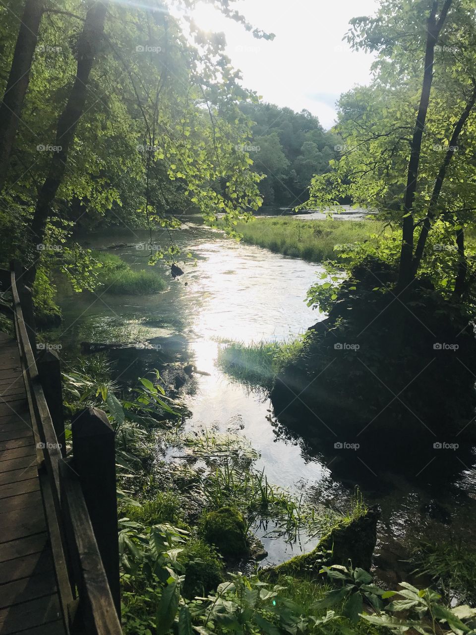Gorgeous natural perfectly clear spring water in Ha Ha Tonka State Park in Missouri! 