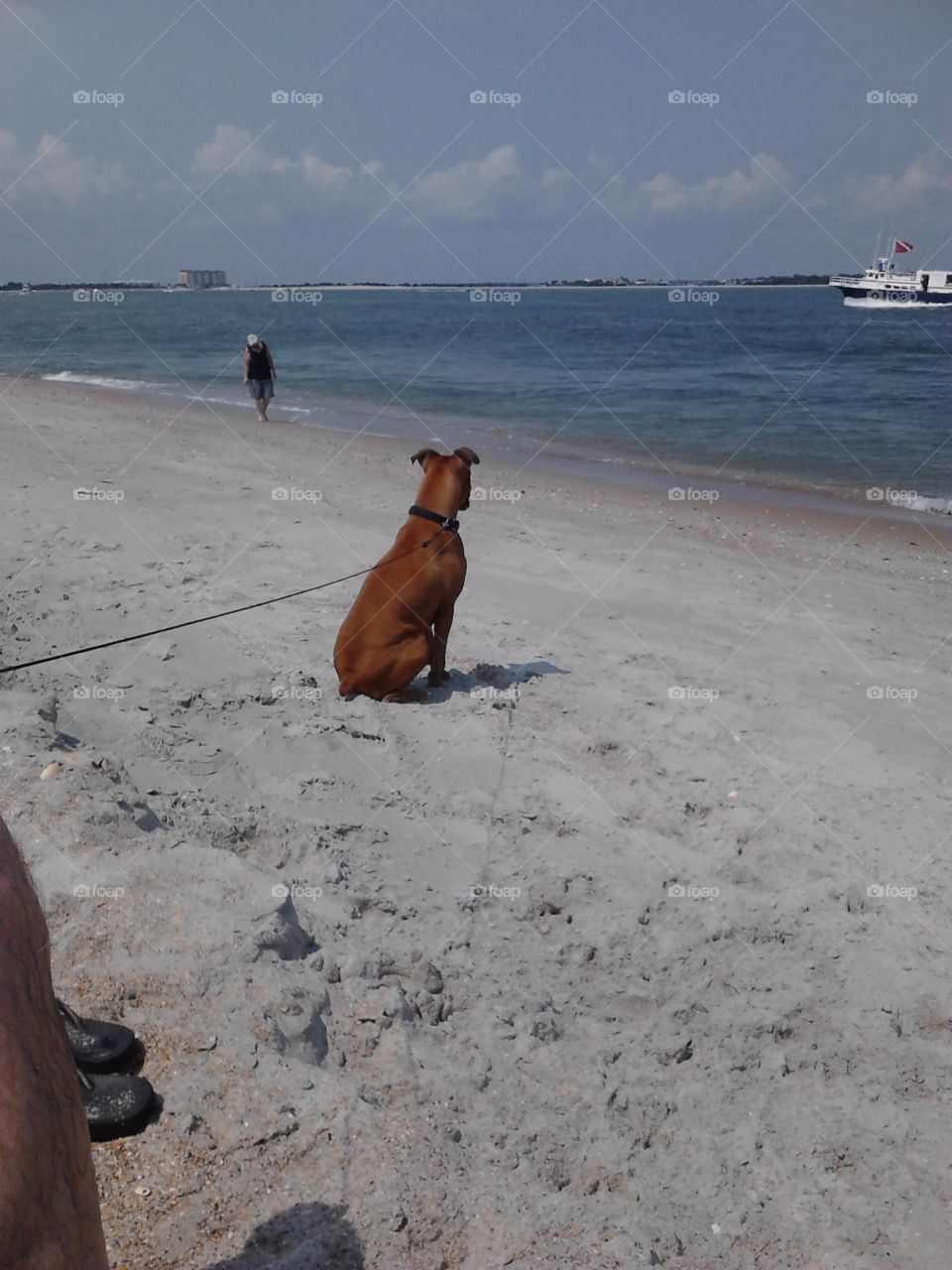 Enjoying a nice spring day. nice day a the beach