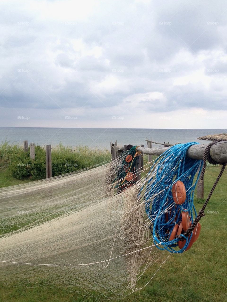Fishing net, Vitemölle