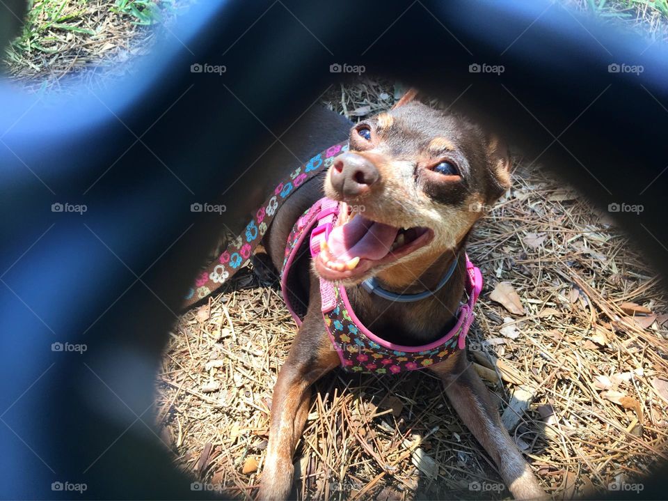 Her happy place was always in the sun 