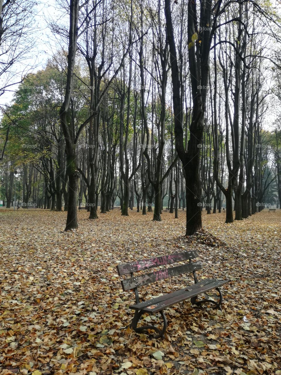 autunno monza