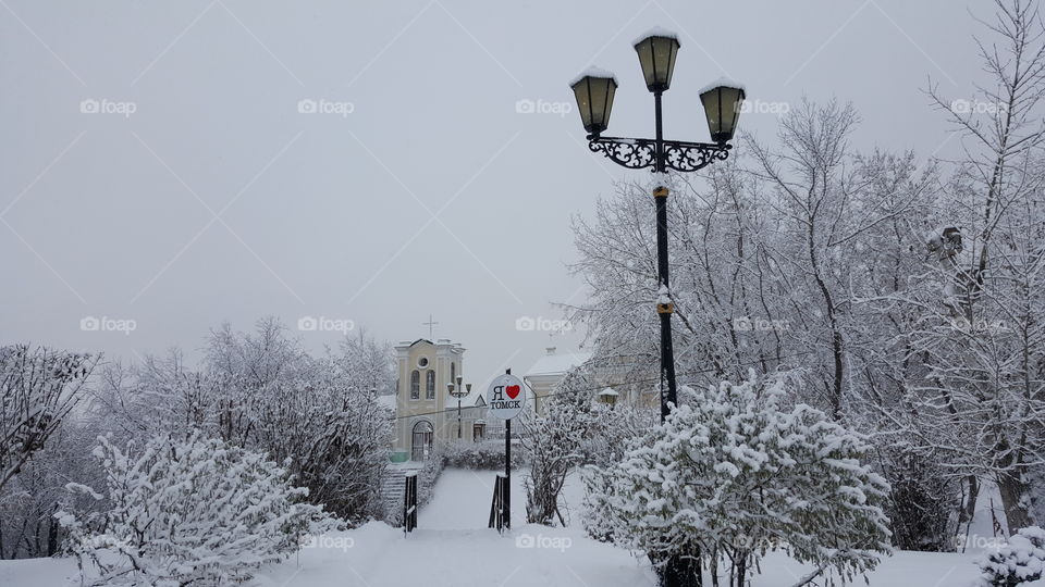 Winter landscape