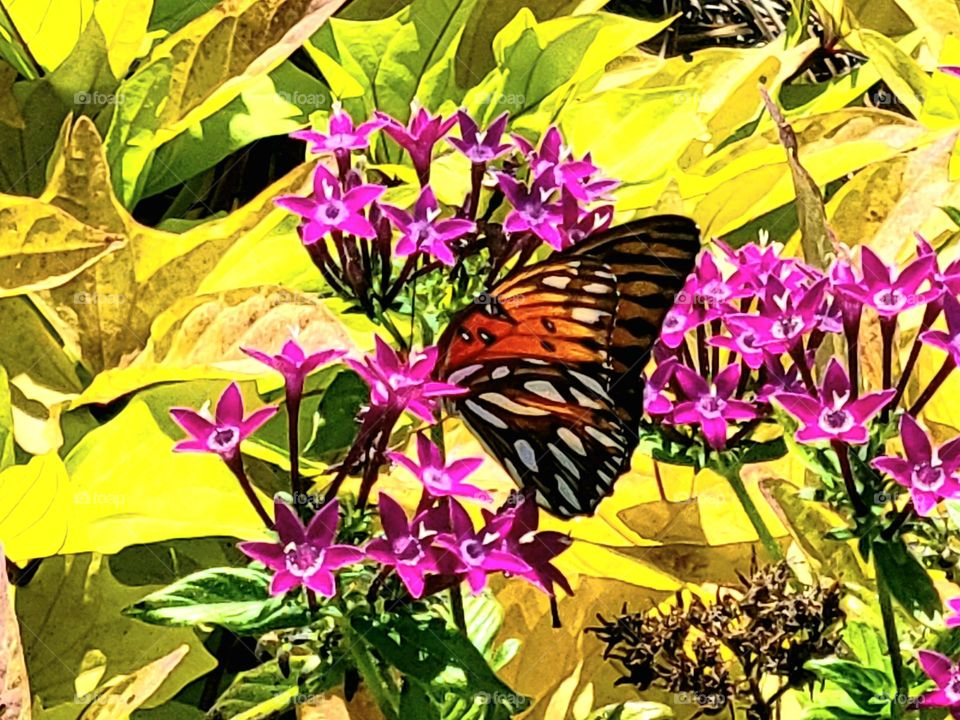 Beautiful View of nature