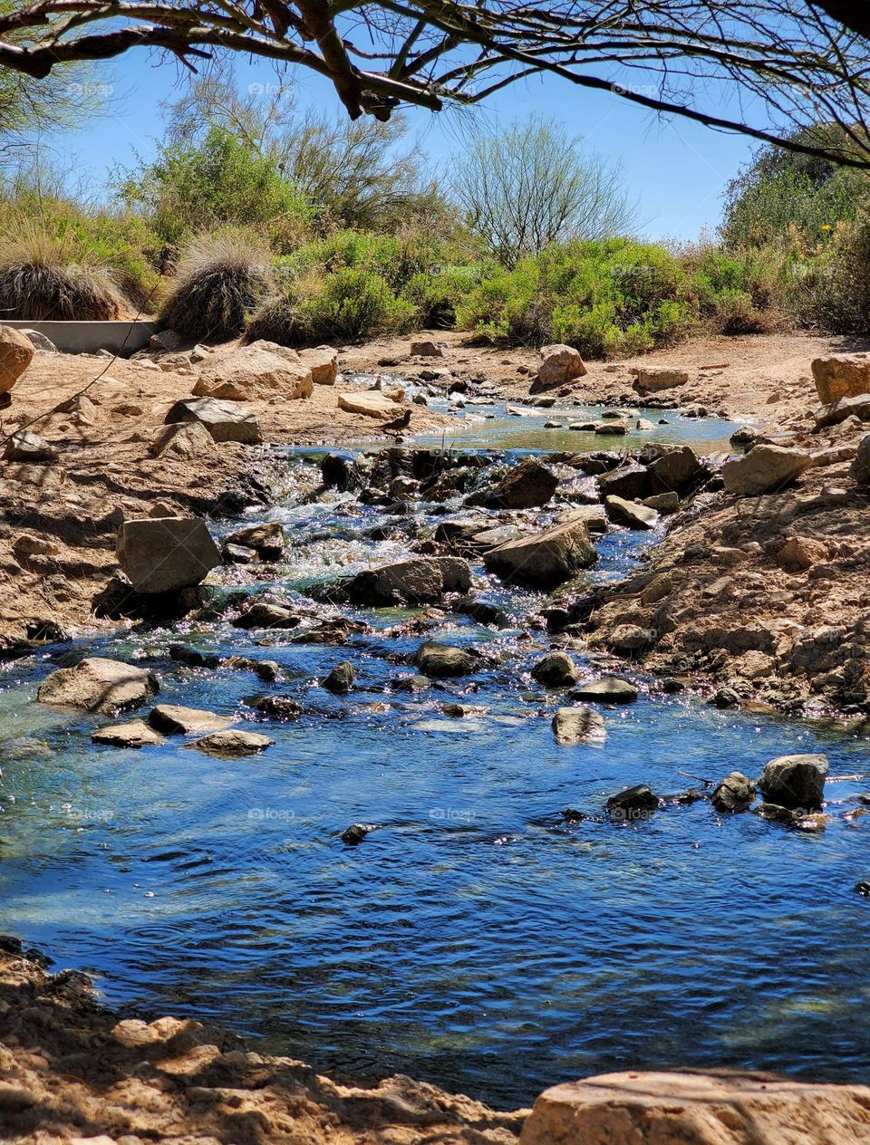 A Creek in the Desert