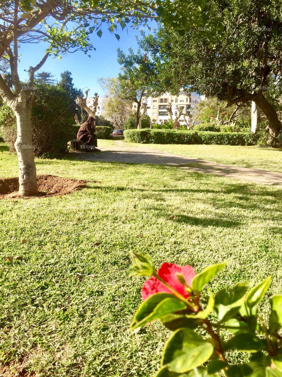 Deep thinkig in the garden 