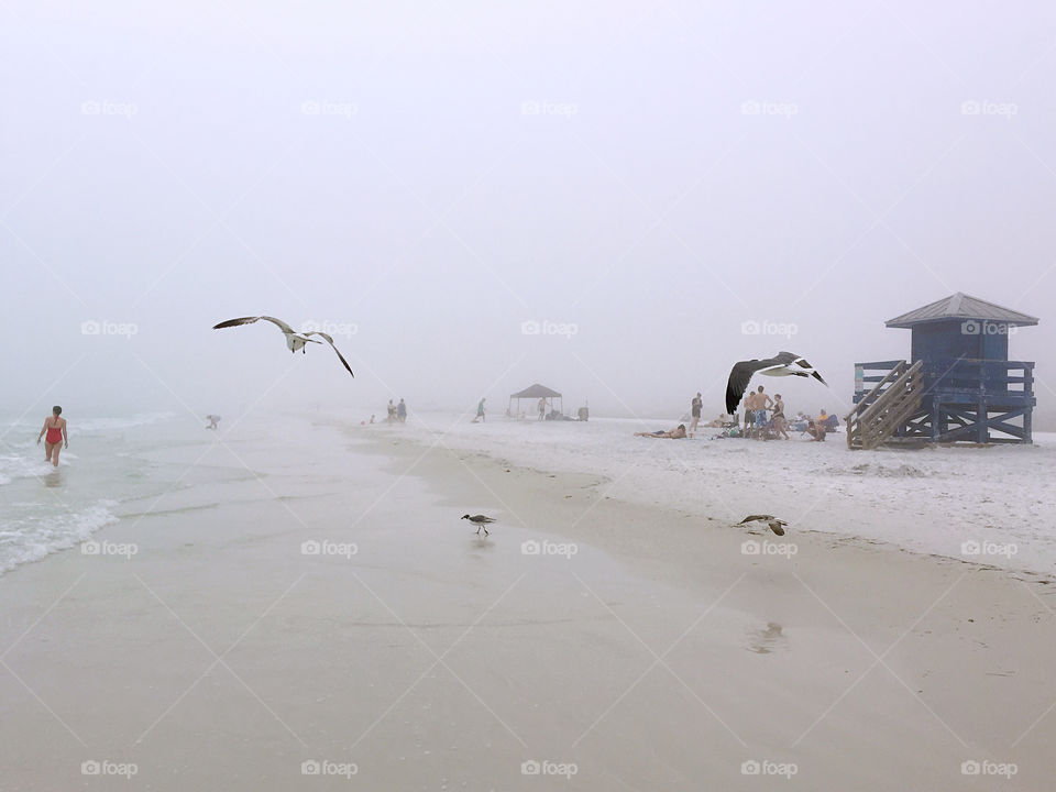 Siesta Beach, Florida, United States
