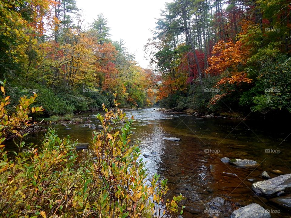 vibrant colors on the Chattooga river in the South Carolina mountains