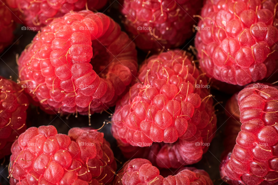 Red fresh raspberries