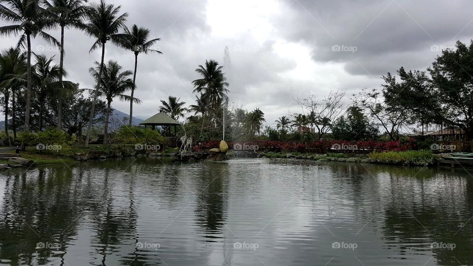 Reflection like a mirror