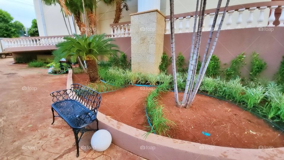 textile peony boho elegant branch season classic collection element colorful luxury paint beautiful tropical frame artistic wild holiday greenery exotic botany foliage romantic beauty petal rose decor flora natural ornament flower floral summer sprin