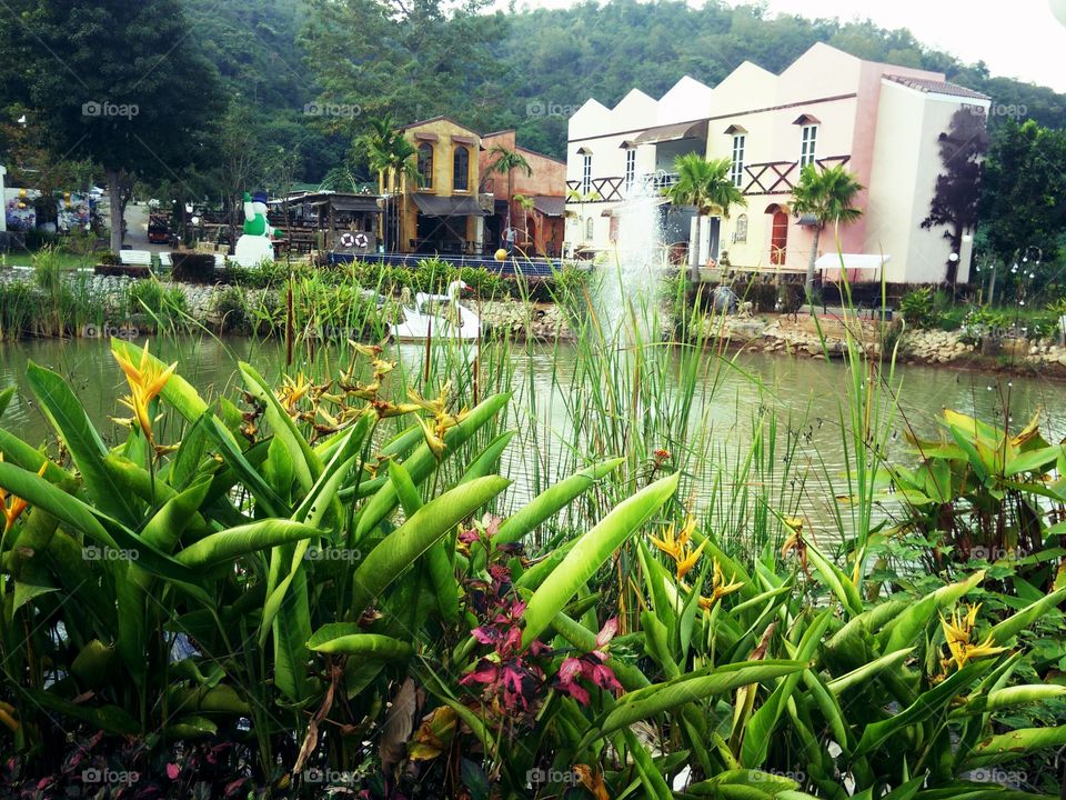 Lovely resort middle the nuture