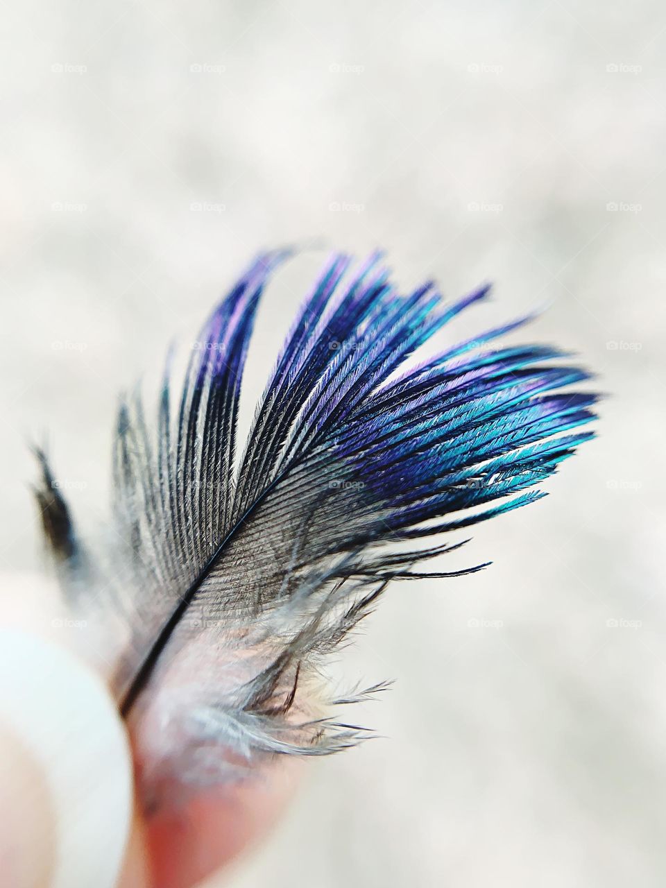 Holding a bird feather 