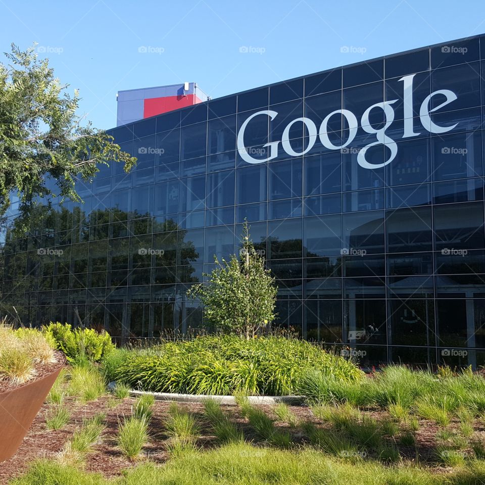 Google. Google campus