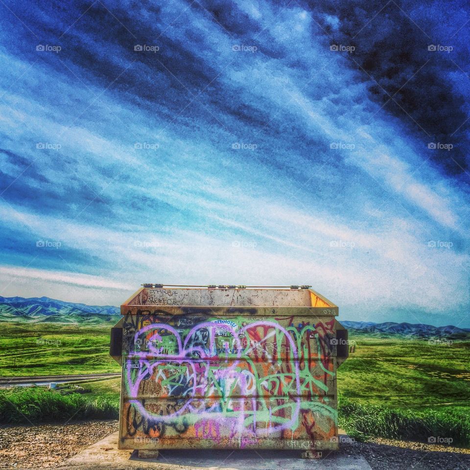 A Bit of City in the Country. A graffiti-covered dumpster in a rural setting
