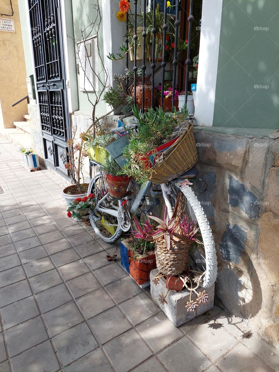 plant art using bike