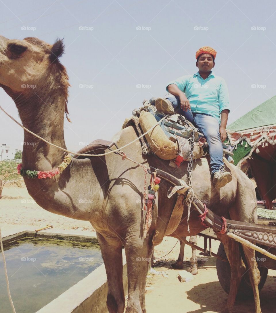 camel riding in hot desert
