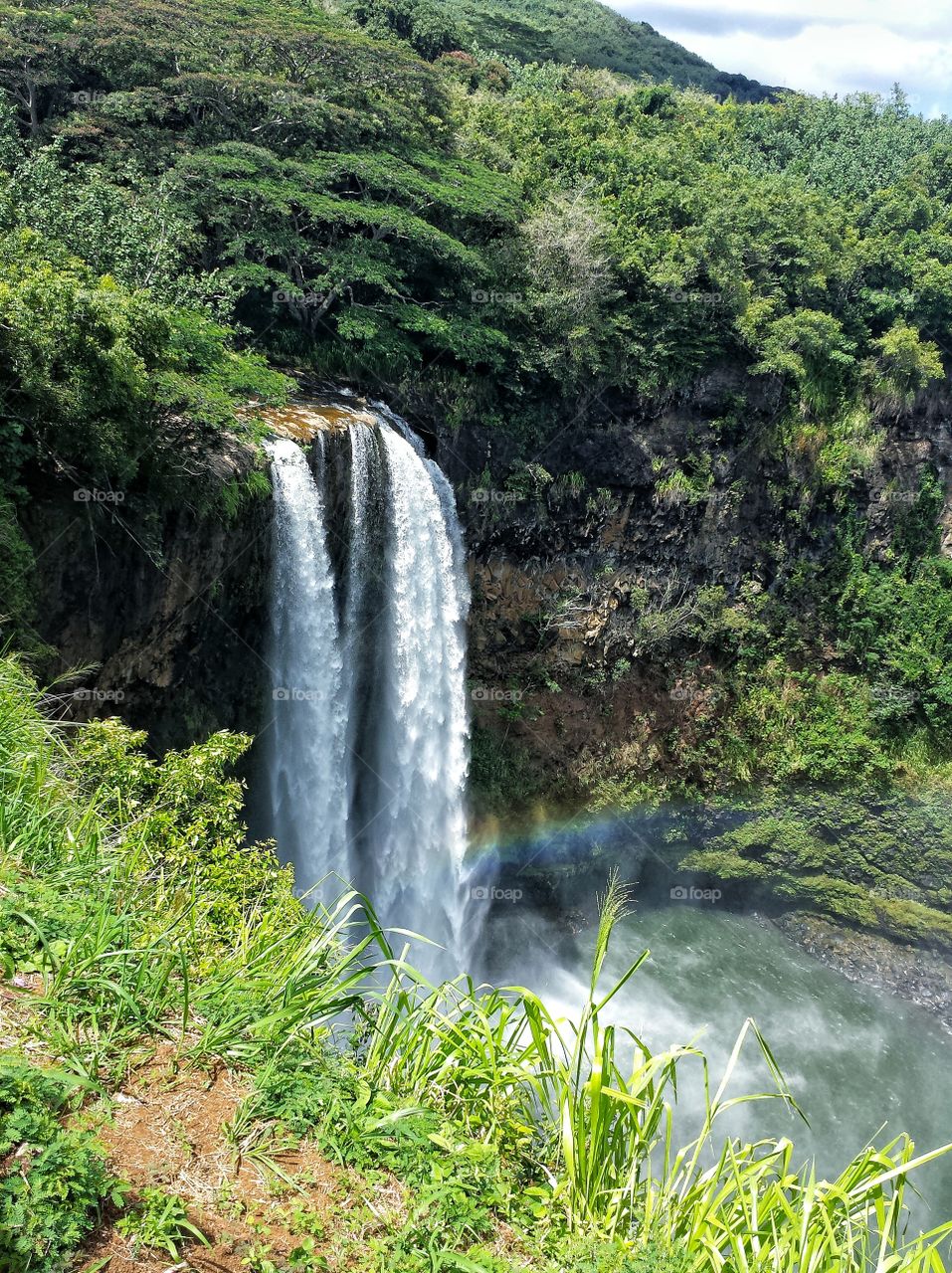 Scenic view of waterfall