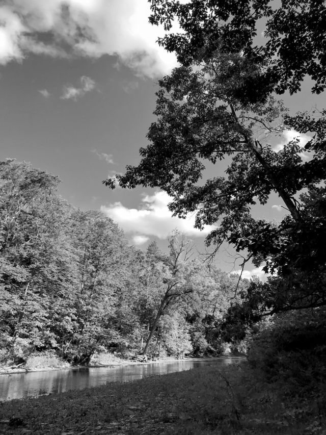 Cazenovia creek