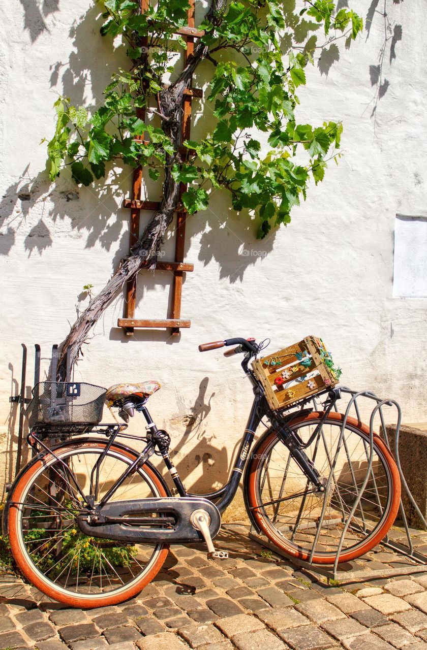 One lonely bicycle standing next to a house wall and looking like there is a grapevine growing from its basket.