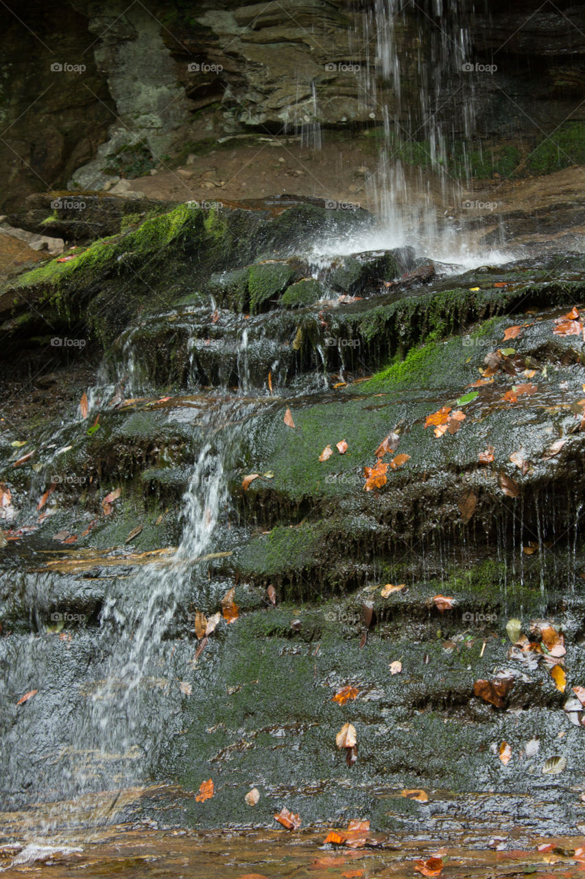 Water flowing over green moss covered rocks with fall leaves.