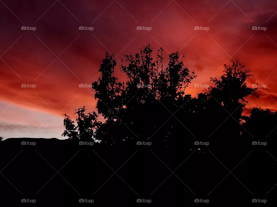 sun