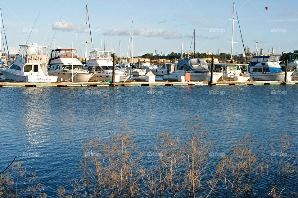 Marina, yachts 