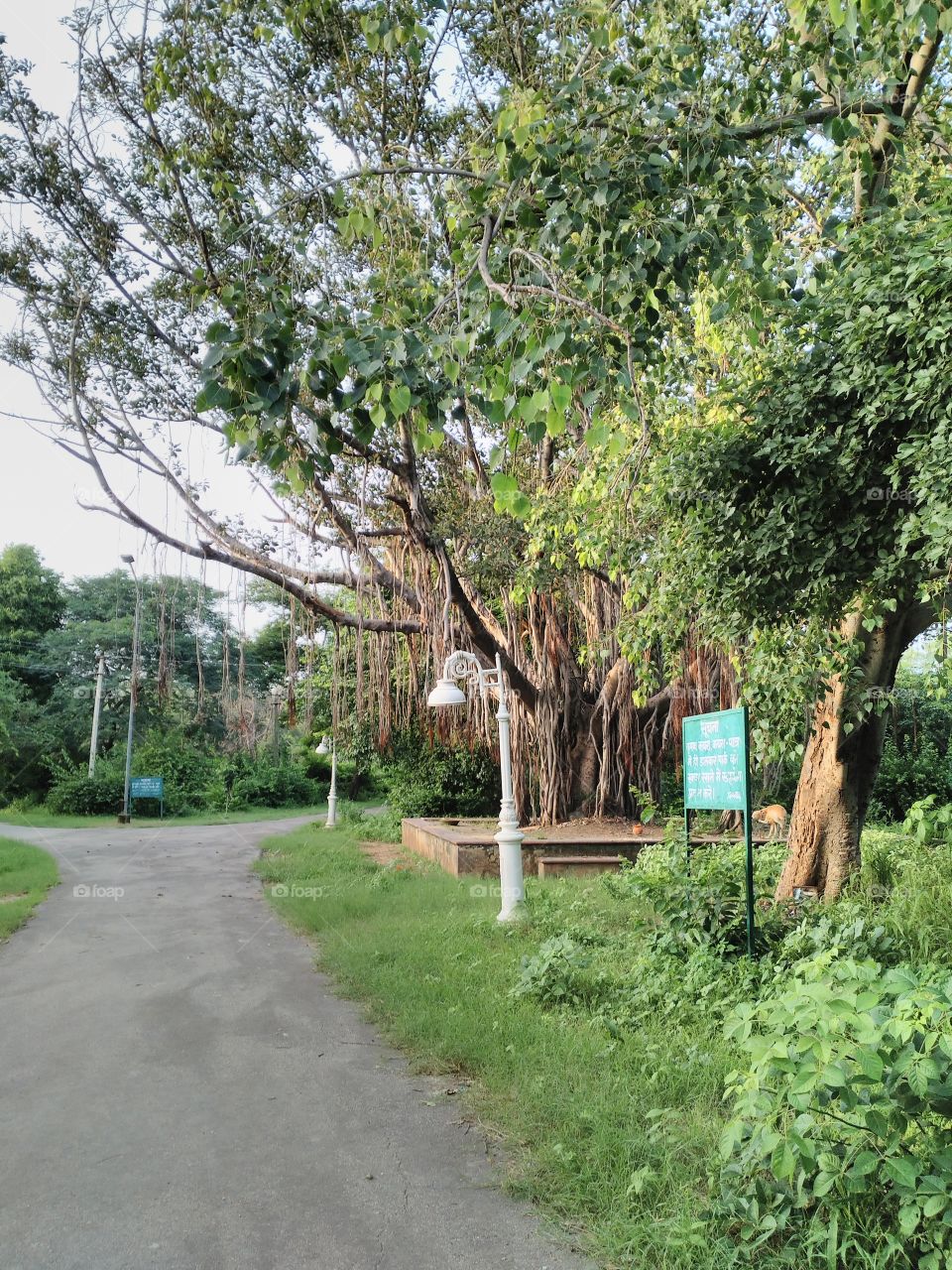 walk around in the city garden