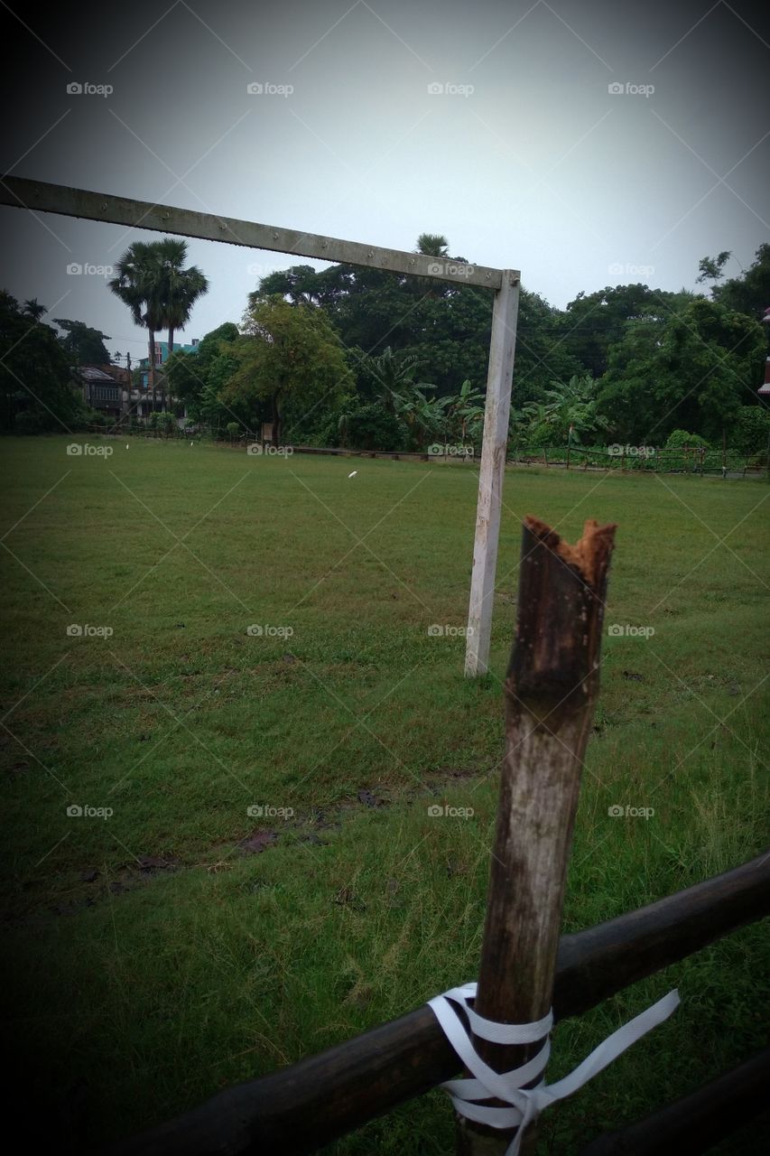 True nature no filter,