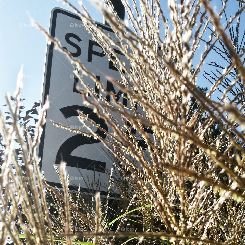 speed limit . speed limit 