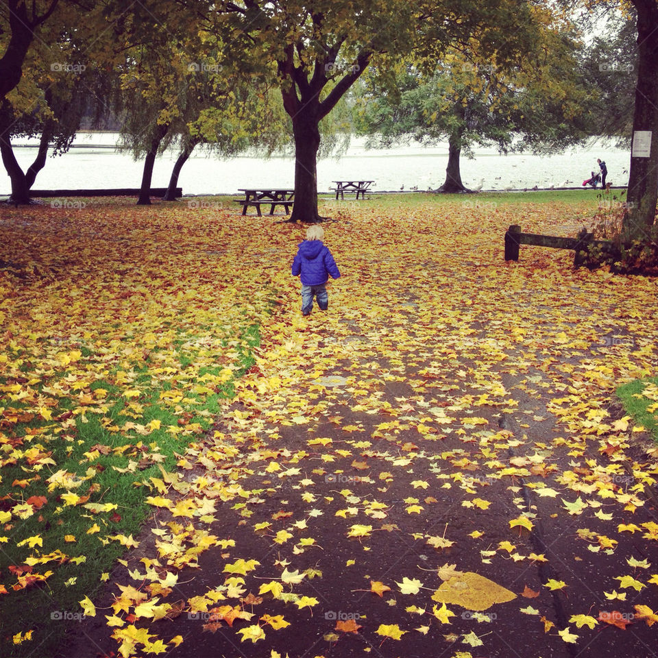 child leaves fall autumn by iain.hanna