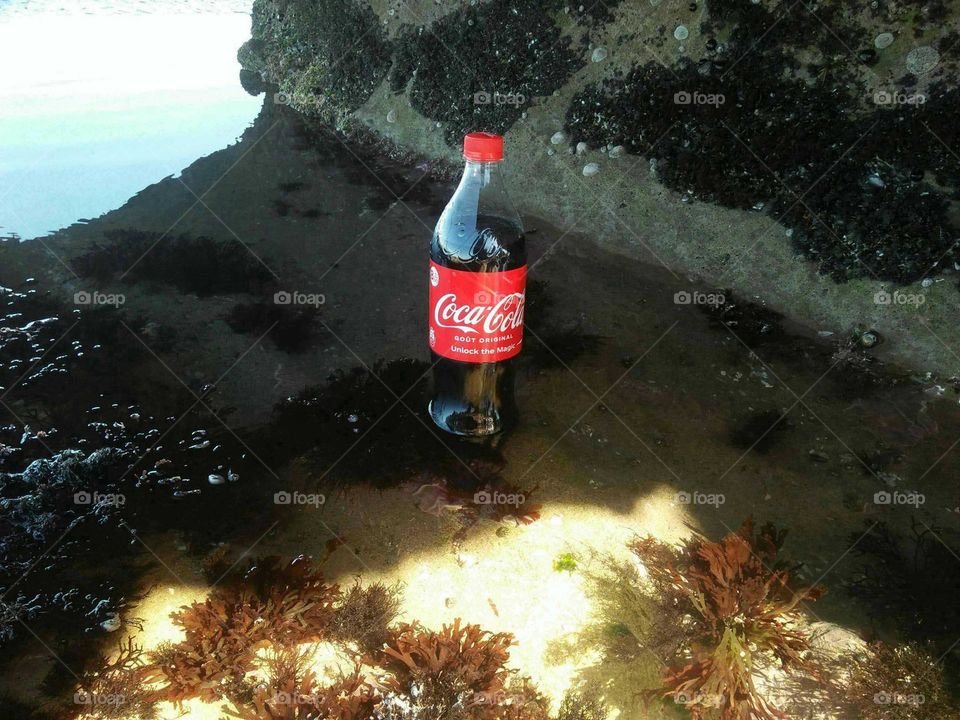 delicious bottle of fresh coca cola on a rock