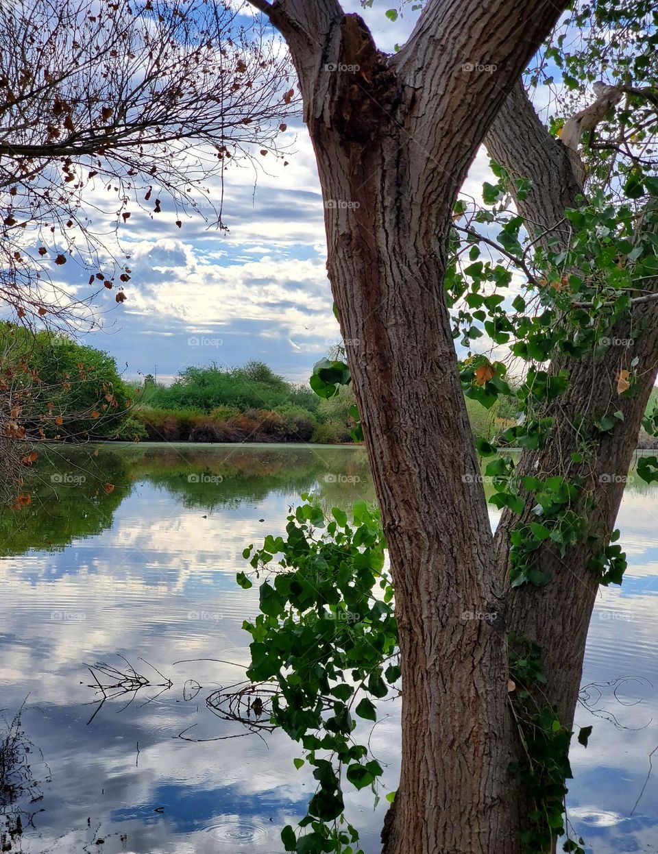 Clouds in Sky and Water