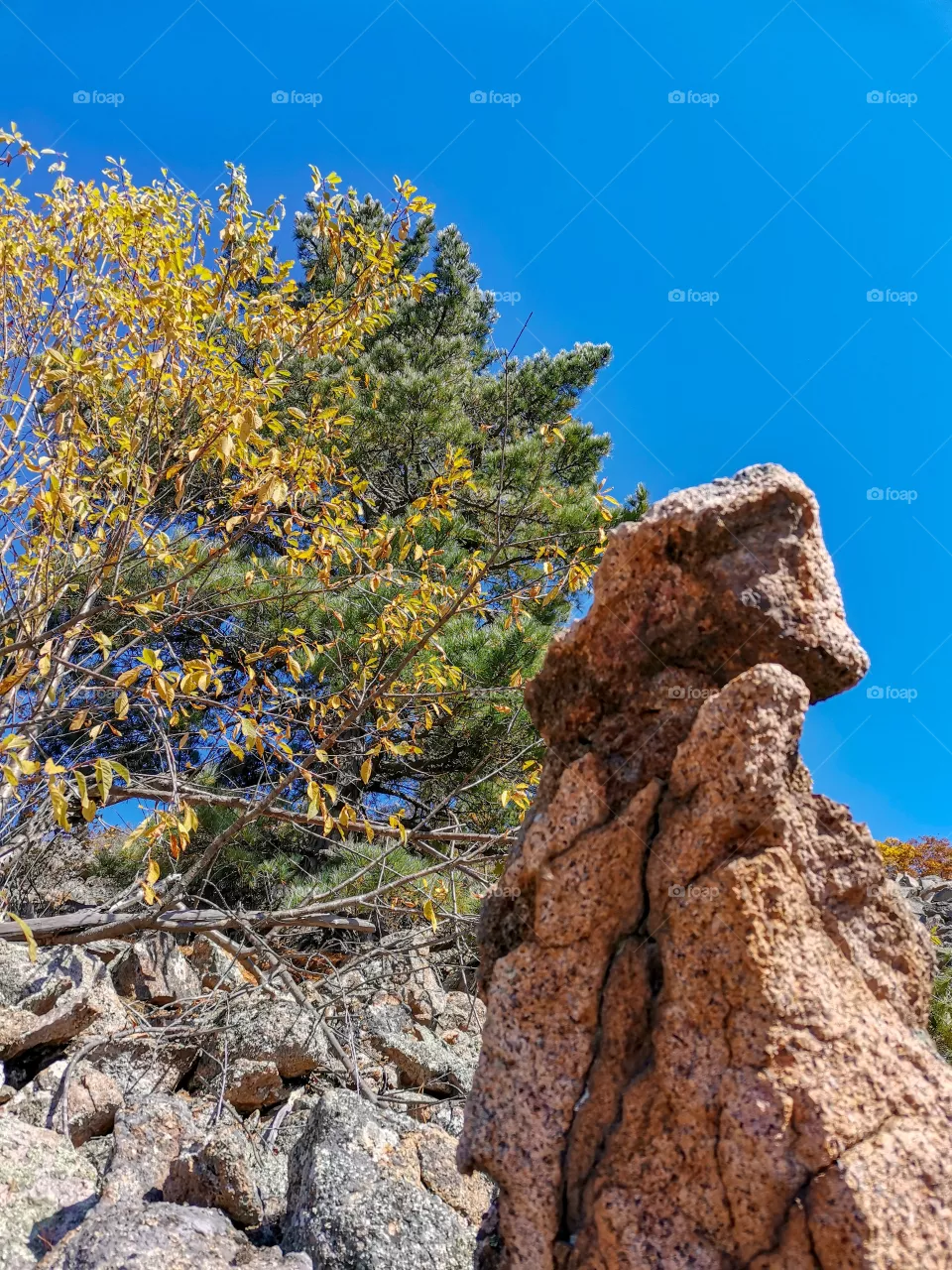 Stone