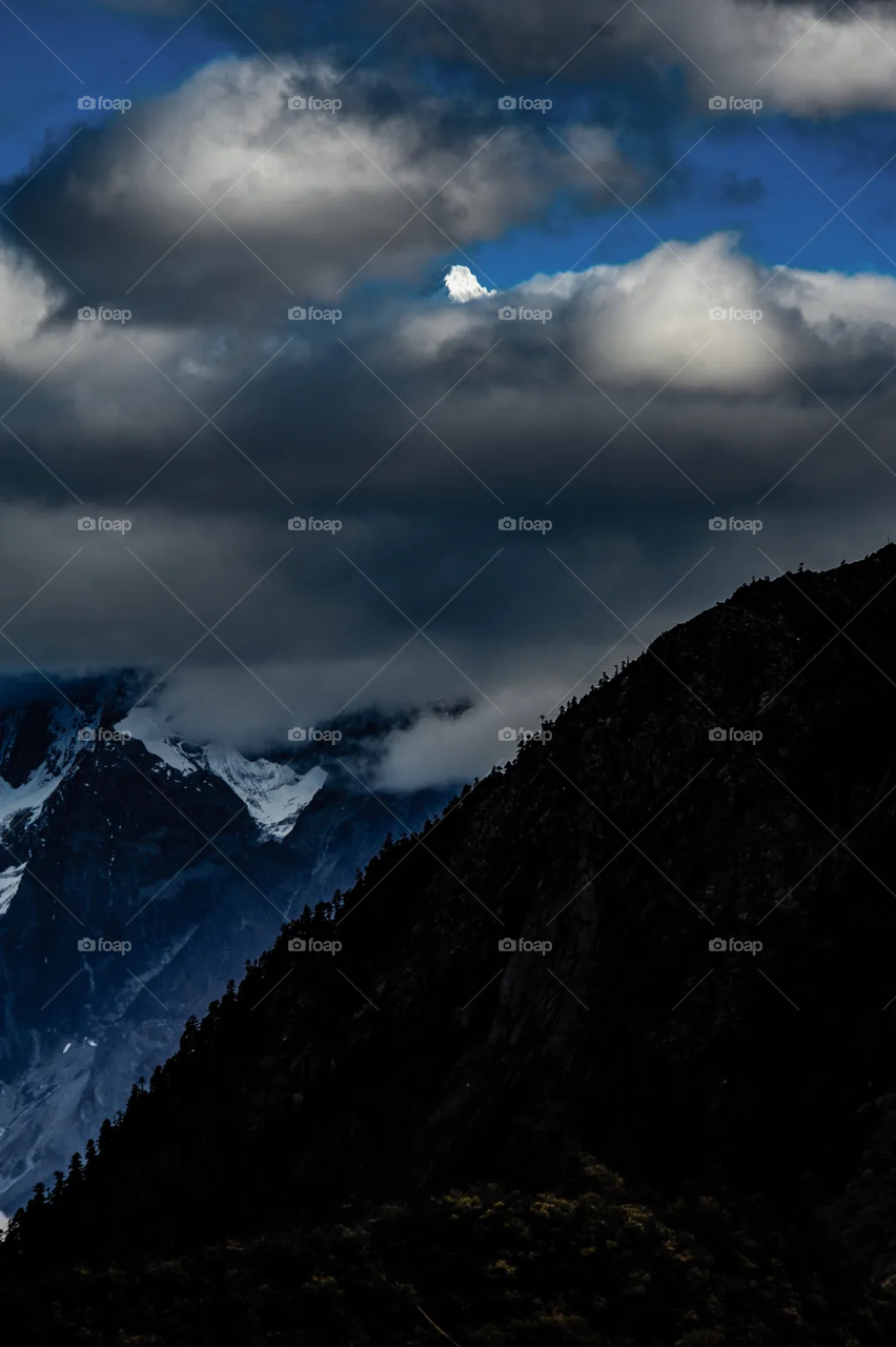 Best Scene in the World