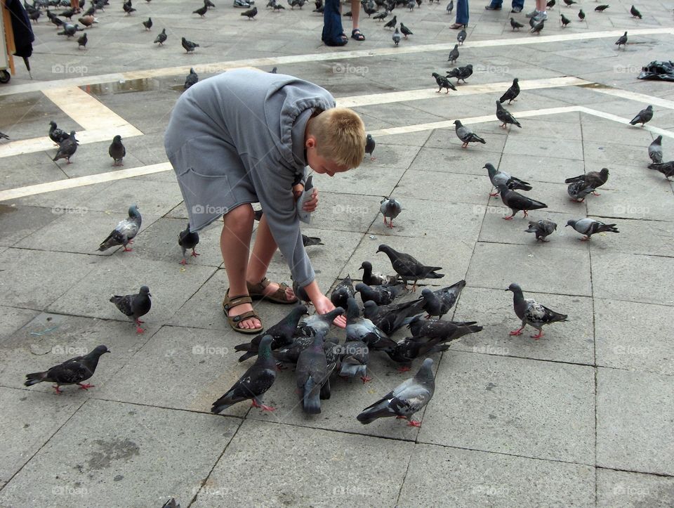 Feeding pigeons 