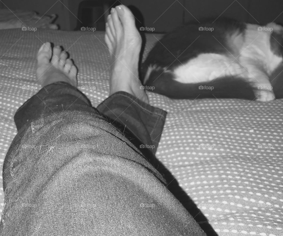 Chilling With My Kitty