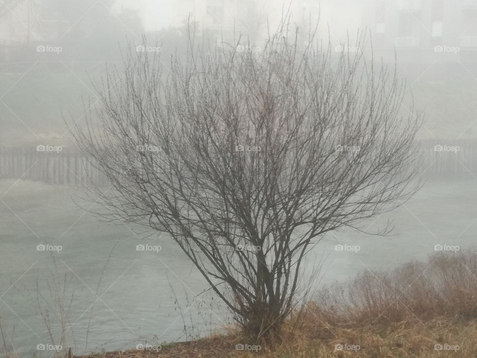 The fog rises from the River. Velino River, Rieti