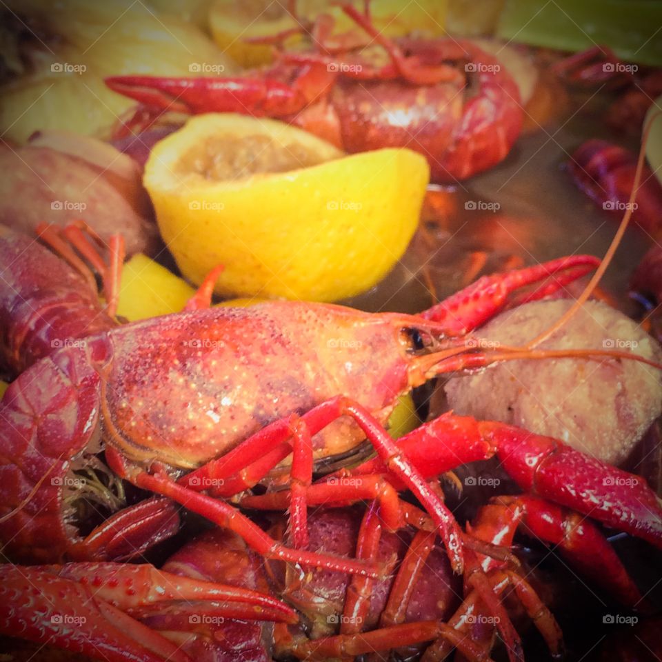 Crawfish Season