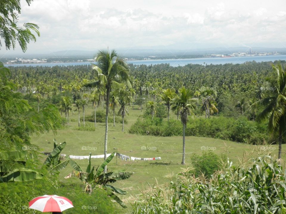 Island Garden City Of Samal Philippine Own A Lot Somewhere Ocean View.