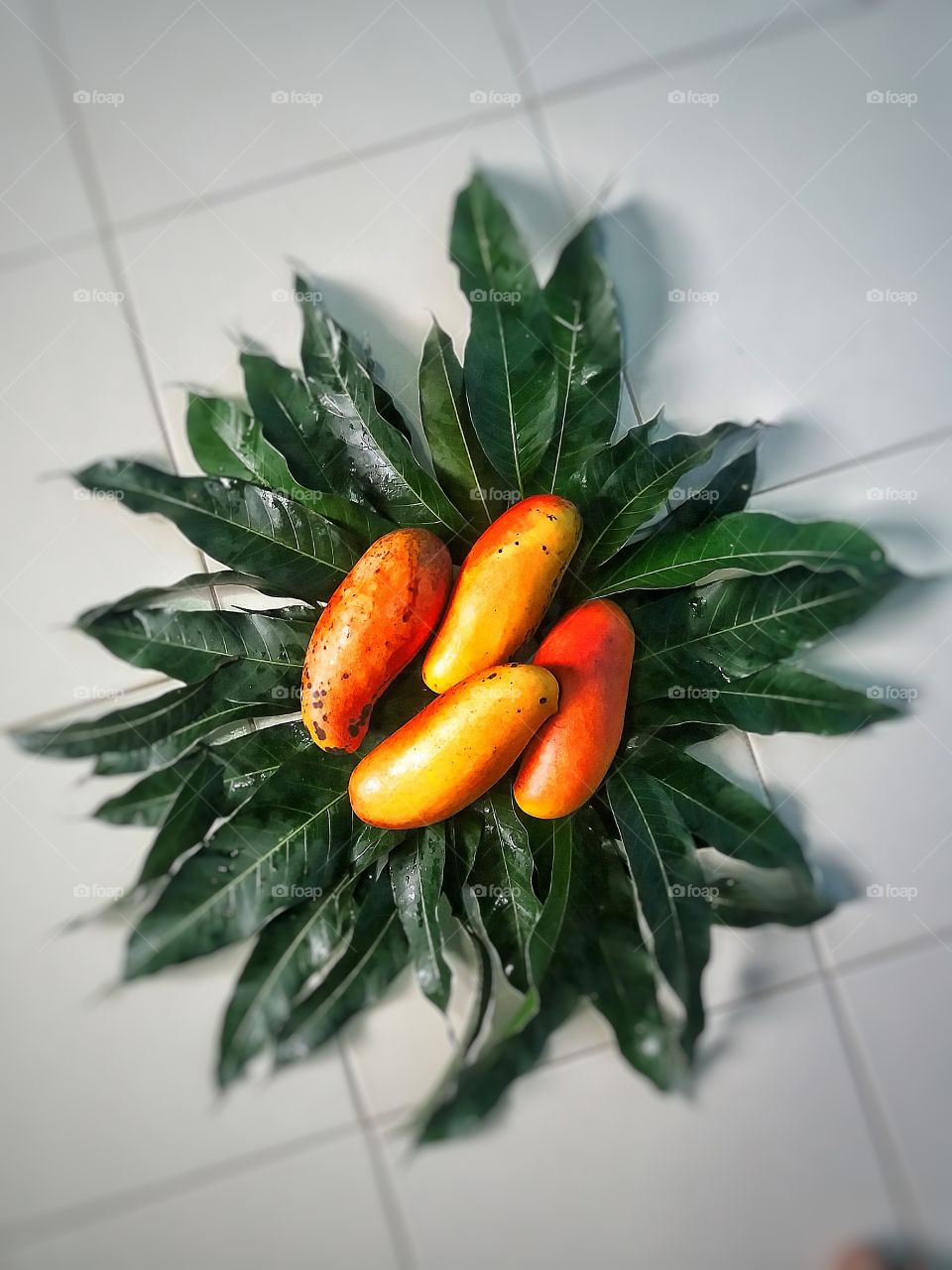 Thai Mango Fruit