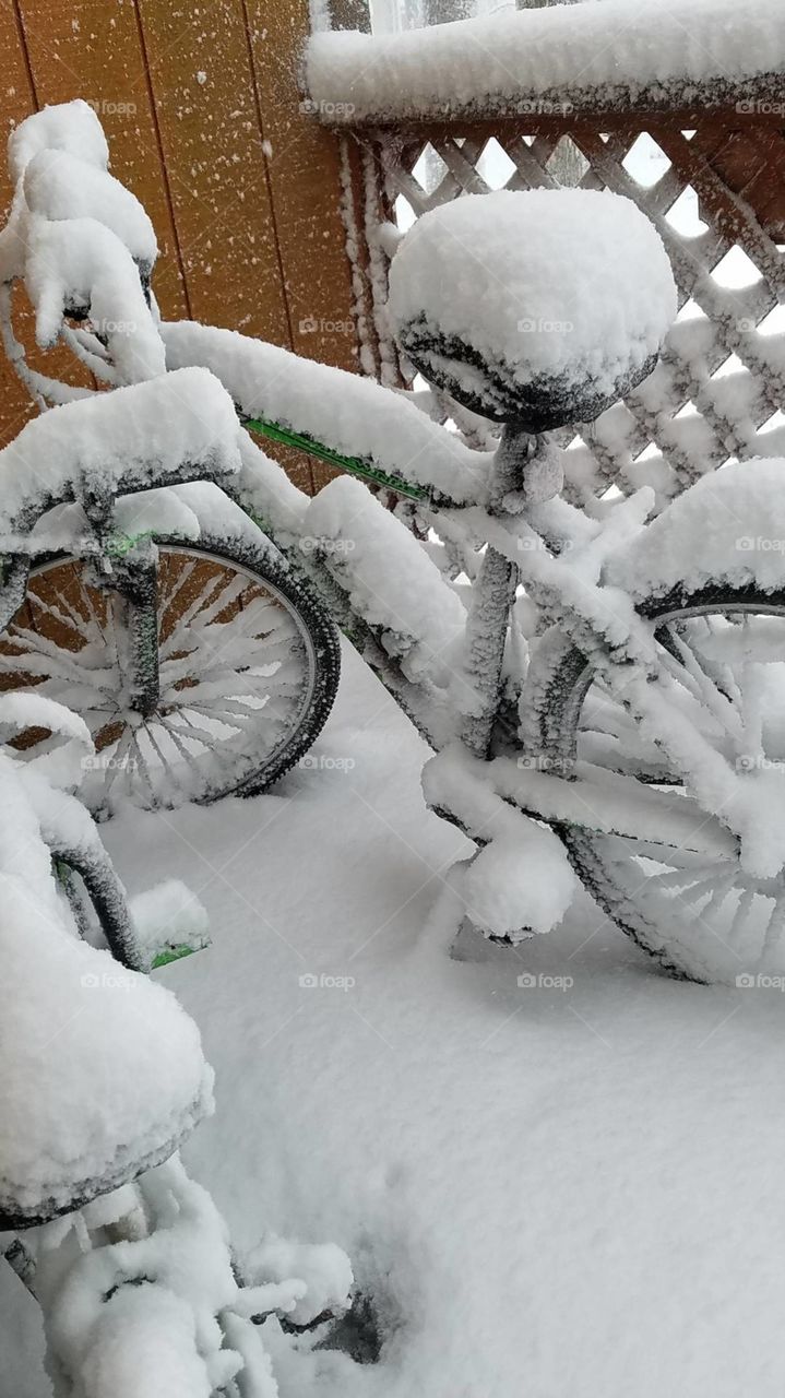 winter cold cycle